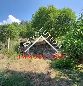 Foto annuncio 40