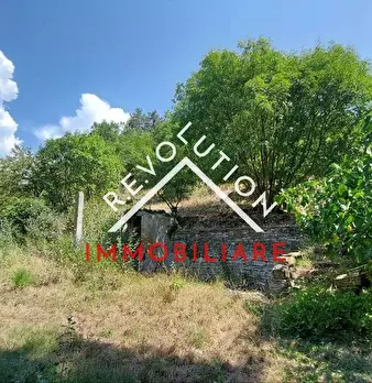 Foto annuncio 41