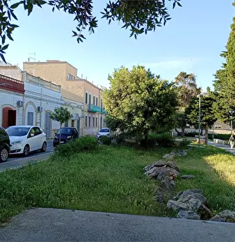 Foto annuncio 37
