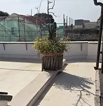 Foto annuncio 27