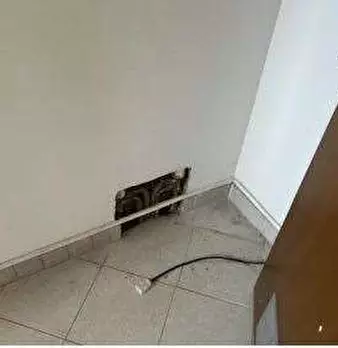 Foto annuncio 12