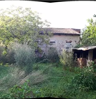 Foto annuncio 6