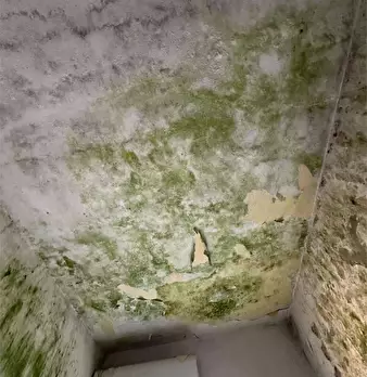 Foto annuncio 26