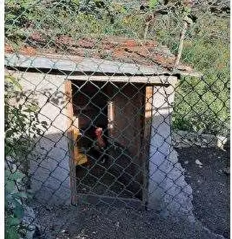 Foto annuncio 24