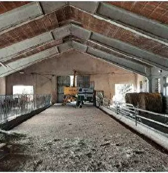 Foto annuncio 29