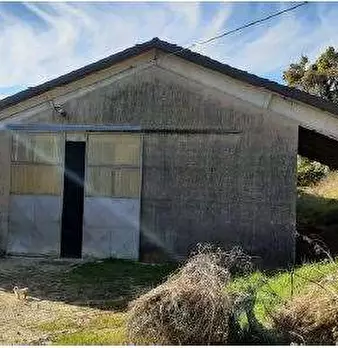 Foto annuncio 34