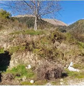 Foto annuncio 35