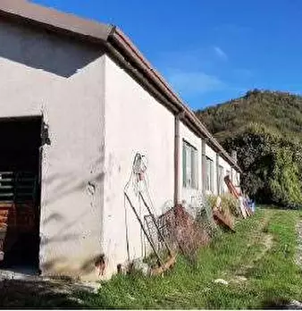 Foto annuncio 37