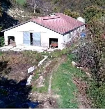 Foto annuncio 38
