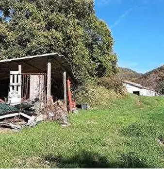 Foto annuncio 39
