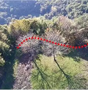 Foto annuncio 41