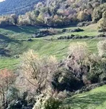 Foto annuncio 44