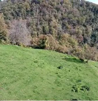Foto annuncio 47