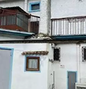 Foto annuncio 7