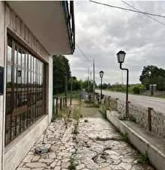 Foto annuncio 12