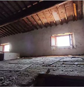 Foto annuncio 13