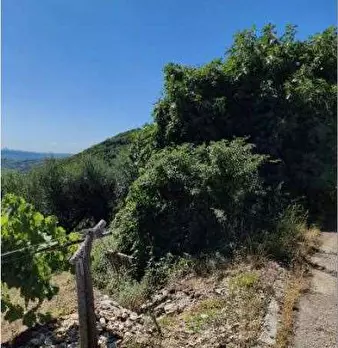 Foto annuncio 18