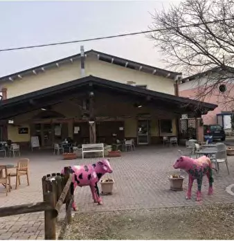 Foto annuncio 18