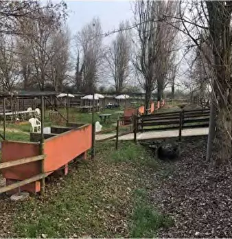 Foto annuncio 22