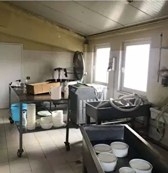 Foto annuncio 31