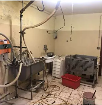 Foto annuncio 37