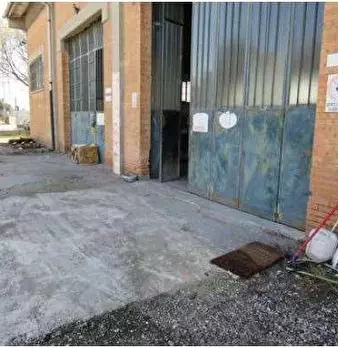 Foto annuncio 7