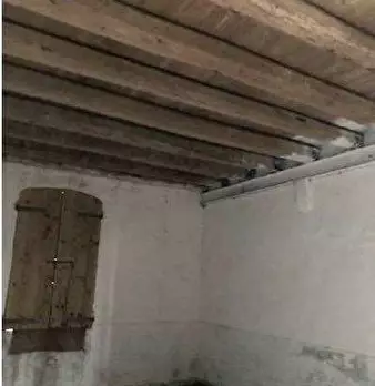 Foto annuncio 67