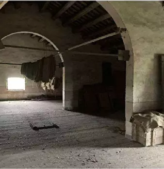Foto annuncio 68