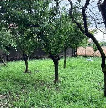 Foto annuncio 72