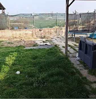 Foto annuncio 46