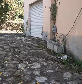 Foto annuncio 4