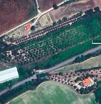 Foto annuncio 9