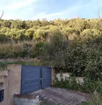 Foto annuncio 5