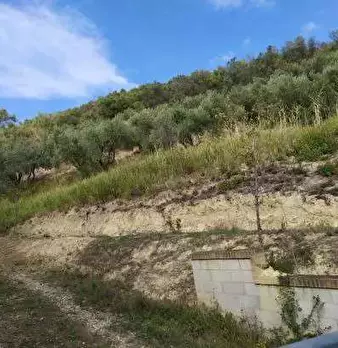 Foto annuncio 2