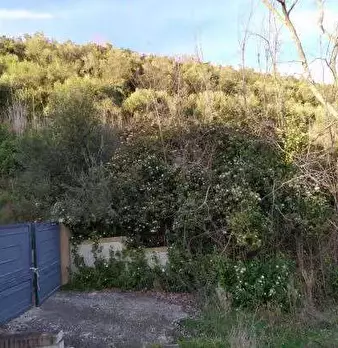 Foto annuncio 8