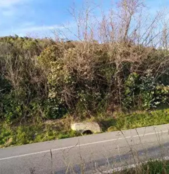 Foto annuncio 7