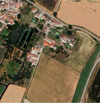 Foto annuncio 12
