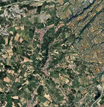Foto annuncio 7