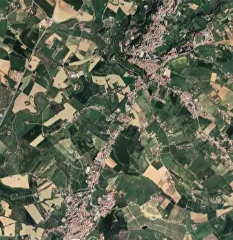 Foto annuncio 8