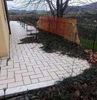 Foto annuncio 10
