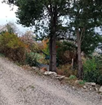 Foto annuncio 10