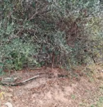Foto annuncio 11