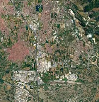 Foto annuncio 6
