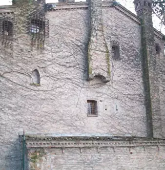 Foto annuncio 5