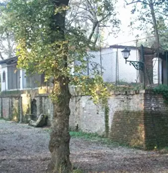 Foto annuncio 12