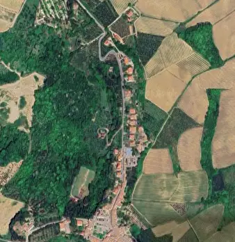 Foto annuncio 6