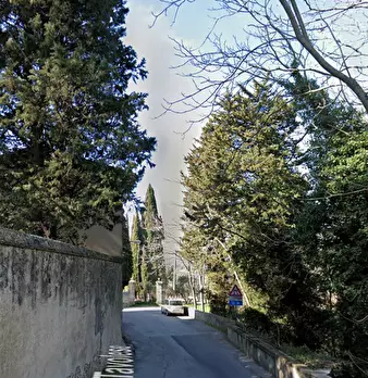 Foto annuncio 15