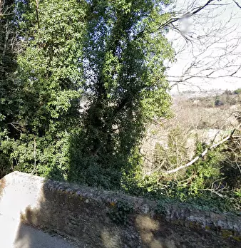 Foto annuncio 16