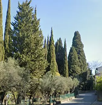 Foto annuncio 19