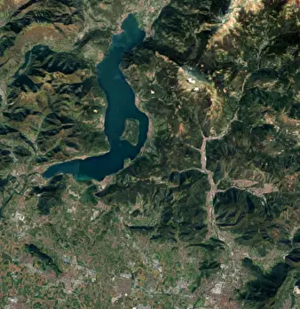 Foto annuncio 9